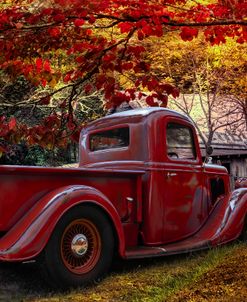 Old Ford at the Farm