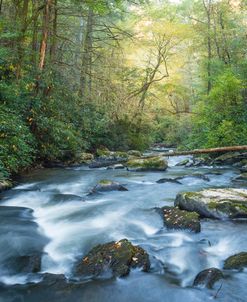 Rushing Downstream