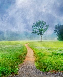 Trail On A Misty Morn