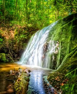 The Greens Of Summer