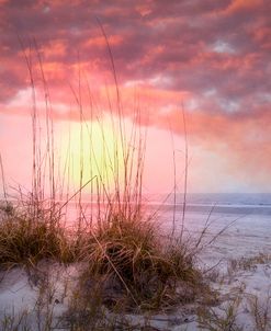 White Sands On The Dunes