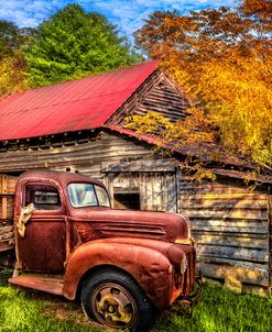 Autumn Shades of Red and Gold