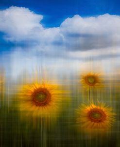 Sunflowers Dreamscape