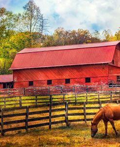 Autumn Grazing