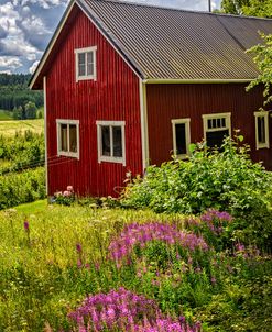 Red Barn on a Summer Day