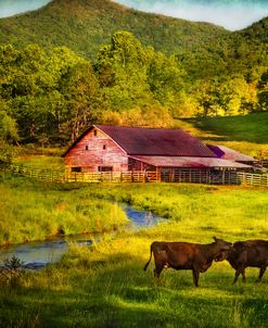 Laughing Cows