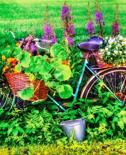 Bicycle In The Flower Garden