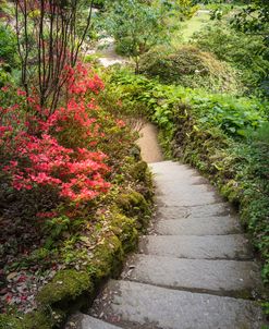 The Path At Powerscourt Gardens