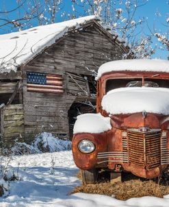 All American International Truck