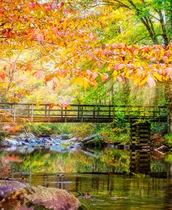 Autumn Light At The Bridge