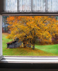 Autumn View