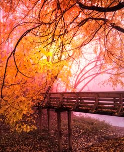 Bridge Into The Magic Of Autumn