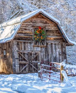 Early December Snowfall In Hdr Detail