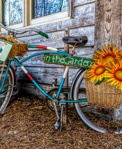 Bicycle In The Garden Art In Detailed Color And Sunflowers
