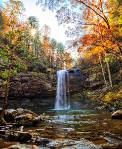 Falling Into Fall Cloudland Canyon