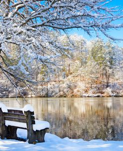 Reflections Of Winter