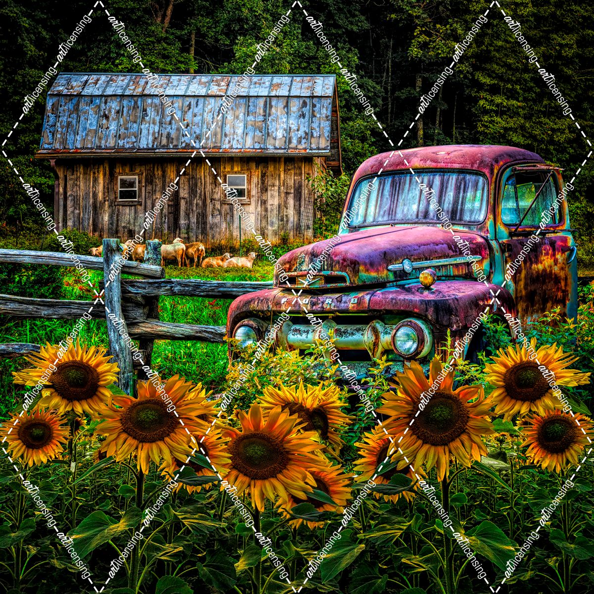 Take Us For A Ride In The Sunflower Patch In Summer Colors