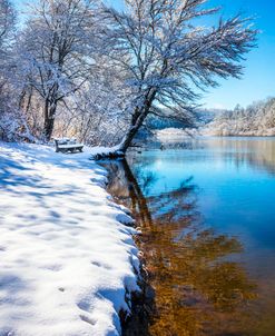 The Beauty Of Winter