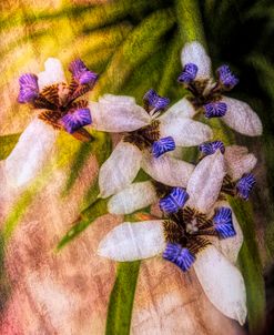 Island Lilies Oil Painting