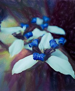 Romantic Island Lilies in Blues