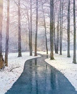 Sunlit Path in the Snow