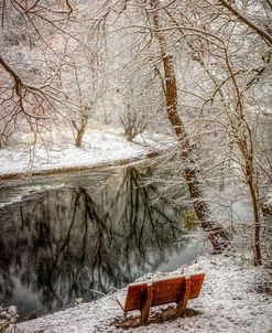 Winter Contemplation In HDR Detail