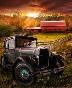 Along The Fences At Sunset