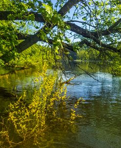 Canoeing In Peaceful Waters