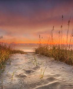 Glowing Footprints In The Sand