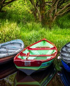 Rowboats At The Harbor