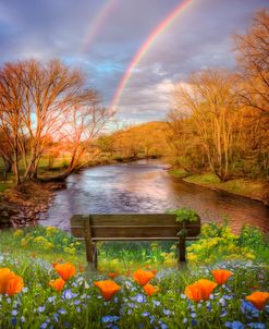 Morning Rainbow Mists