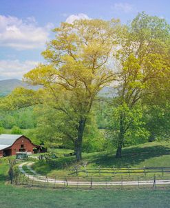 Summer Daydreams In The Country