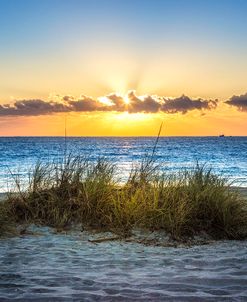 Shining On The Dunes