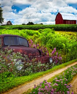 Rusty Dodge Planted in the Wildflowers