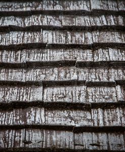 Textures Of Wood