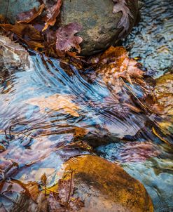 Silvery Autumn Stream