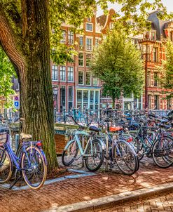 The Bicycles of Amsterdam