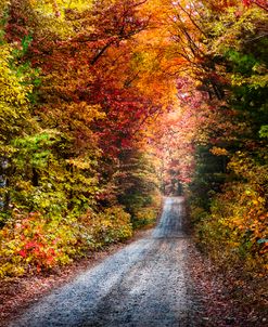 Trail into Autumn Colors