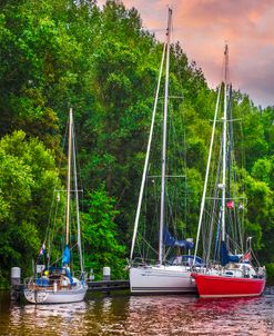 Three Boats on the River