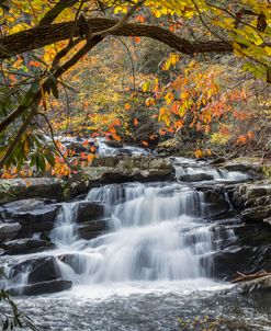 Silky Water Embraced with Fall Color