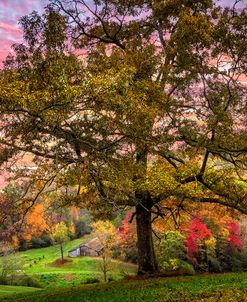 Farm in the Blue Ridge Smoky Mountains