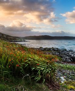 Sunrise on the Coast of Scotland