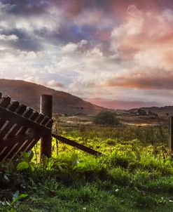 The Farm Gate