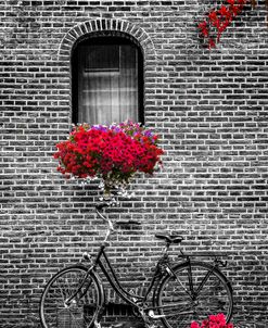 Bike Under the Window in Black and White with Red Color Selected