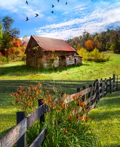 Peaceful Country Morning