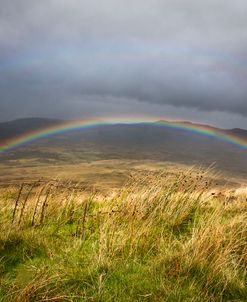 The Promise of a Rainbow