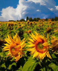 Sunshine on a Summer Day Painting