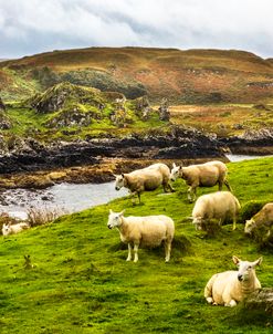 The Beautiful Isle of Kerrera