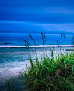 Evening Dune Dreams