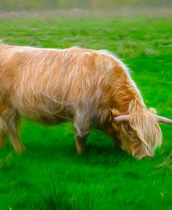 Windblown in Scotland Painting